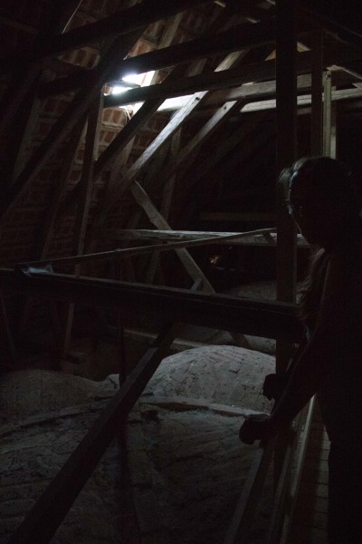 2015-Møns-klint-125