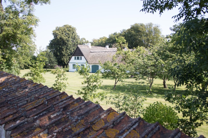 2015-Møns-klint-130