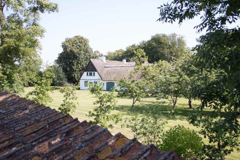 2015-Møns-klint-131