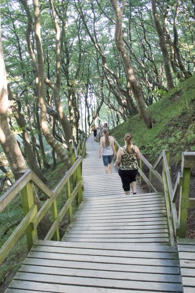 2015-Møns-klint-147