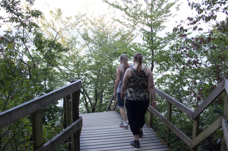 2015-Møns-klint-148