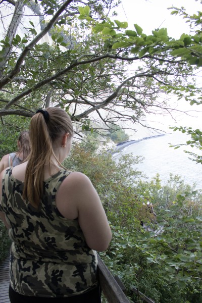 2015-Møns-klint-151