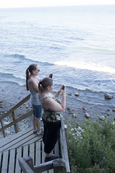 2015-Møns-klint-153