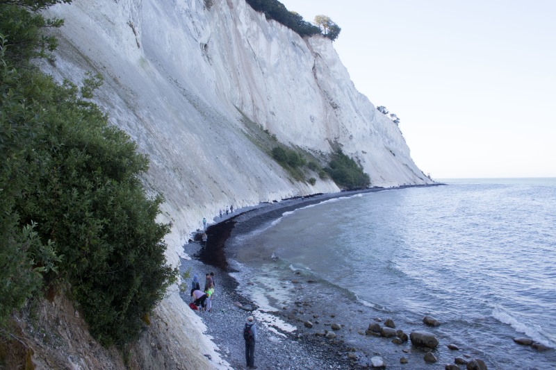 2015-Møns-klint-155