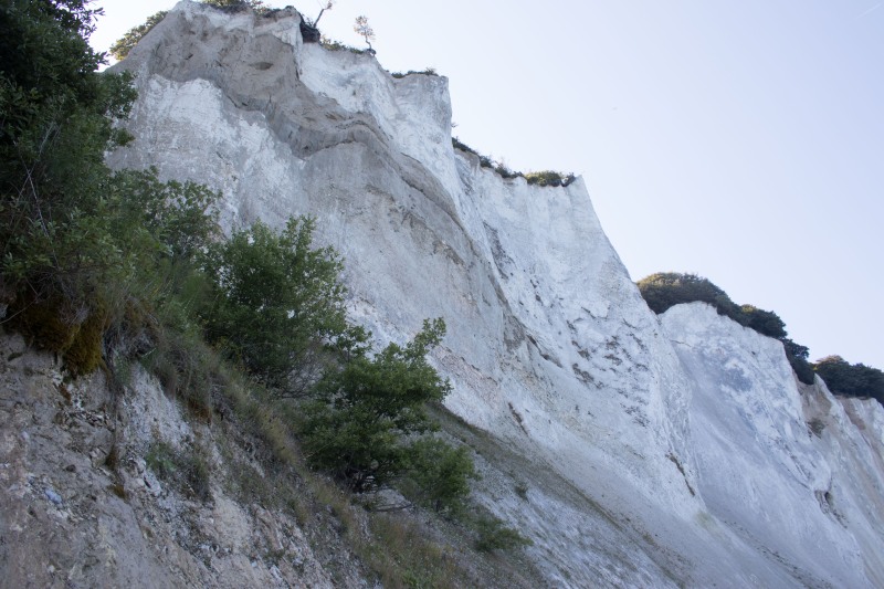 2015-Møns-klint-157