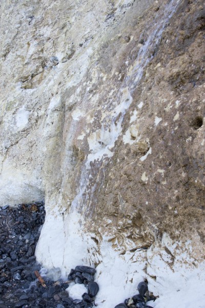 2015-Møns-klint-161