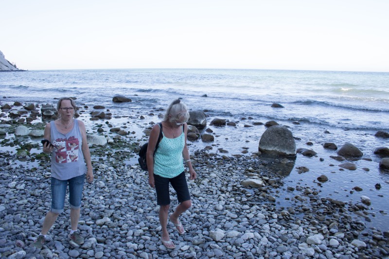 2015-Møns-klint-163