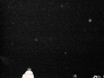 2019-Kirsten-Island-Egne-119