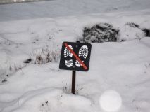 2019-Kirsten-Island-Egne-176