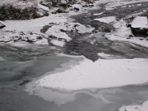 2019-Kirsten-Island-Egne-181