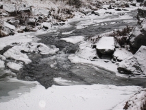 2019-Kirsten-Island-Egne-182