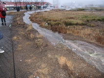 2019-Kirsten-Island-Egne-186