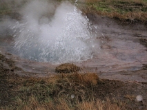 2019-Kirsten-Island-Egne-189