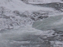 2019-Kirsten-Island-Egne-198