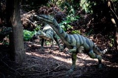 2019-Knuthenborg-152