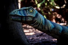 2019-Knuthenborg-153