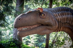 2019-Knuthenborg-158