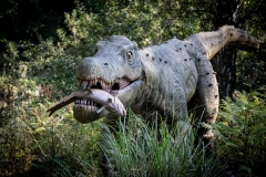 2019-Knuthenborg-173