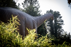 2019-Knuthenborg-177