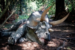 2019-Knuthenborg-182