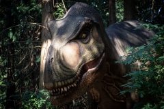 2019-Knuthenborg-186