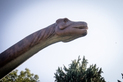 2019-Knuthenborg-189