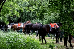 2019-Krigshistorisk-213