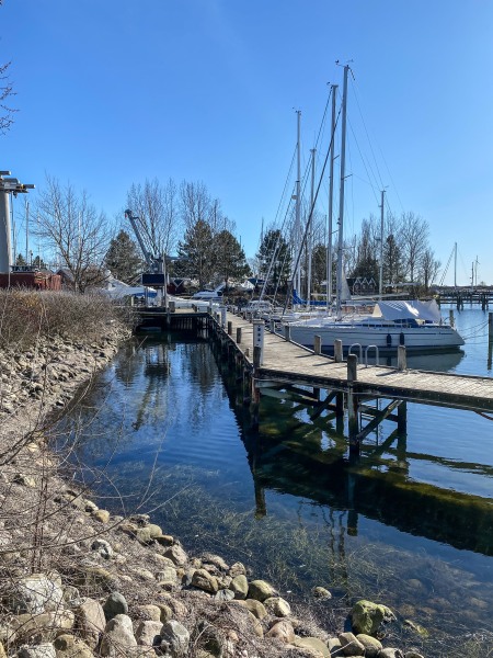 2022-03-19-Krabben-og-Damhussoeen-203