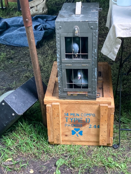 2022-Krigshistorisk-festival-152