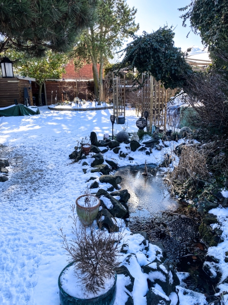 2023-03-08-Sne-i-haven-103