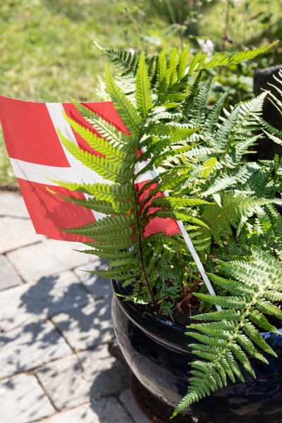 2024-Xander-14-aar-156