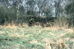 HHV-Christiansminde-123