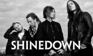 Musik Shinedown