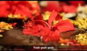 Celebrating1MalaysiaTrulyAsia