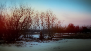 Fanfarlo - Landlocked