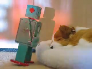 Fanfarlo - Outsiders