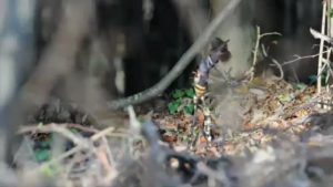 Flogging Molly - Float