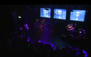 IQ-From-The-Outside-In