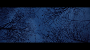 In Lonely Majesty - Sing in the Dark