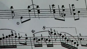 Pladderballe Bryghus - Kakerlakpuler