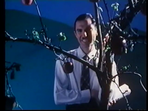 The-Sparks-Funny-Face