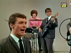 The Honeycombs -  Have i the right